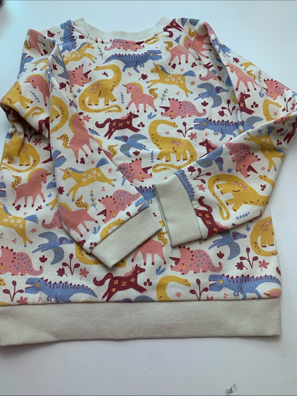 Kids Crewneck Sweatshirt with Colorful Dinosaur Print - Multicolor Winter Weight - Picture 5 of 5